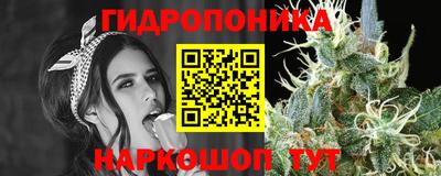 не бодяженный Дмитров