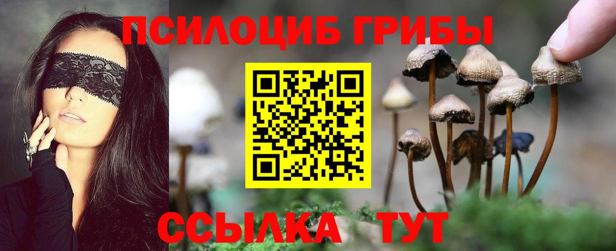 Галлюциногенные грибы Magic Shrooms  Вход с VPN  Губаха 